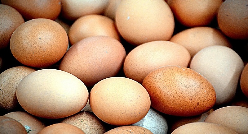 Harga Telur Ayam Ras 1 September 2021