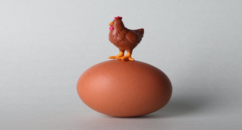 Harga Telur Ayam Ras 25 Agustus 2021