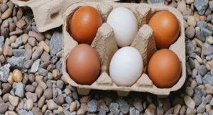 Harga Telur Ayam Ras Hari Ini Kamis 26 Agustus 2021: Harga di Solo dan Yogyakarta Terus Mengalami Kenaikan