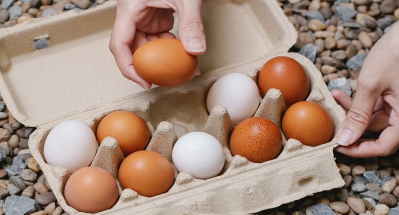 Harga Telur Ayam Ras 30 Agustus 2021