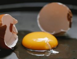 Harga Telur Ayam Ras Hari Ini Selasa 31 Agustus 2021: Harga di Surabaya Masih Stabil Rp 16.000 per Kilogram
