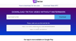 SSSTikTok Downloader, Unduh Video Tiktok Tanpa Watermark Cepat: Tanpa Login
