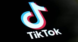 Trik Download Video TikTok Tanpa Watermark Lewat SSSTikTok, Langsung Jadi MP4 HD
