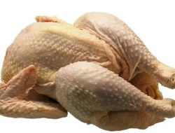 Harga Daging Ayam Broiler Hari Ini Senin 6 September 2021: Harga di Yogyakarta Masih Stabil di Angka Rp 19.500 per Kilogram