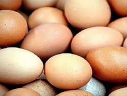 Harga Telur Ayam Ras Hari Ini Sabtu 11 September 2021: Harga di Daerah Jawa Barat Turun Drastis