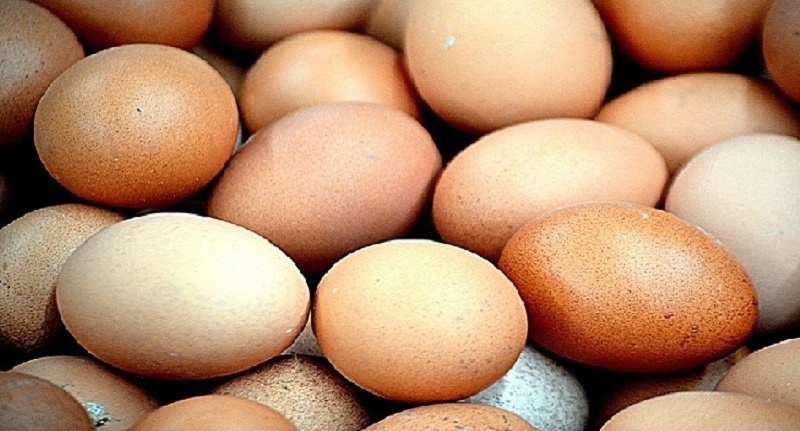Harga Telur Ayam Ras 11 September 2021