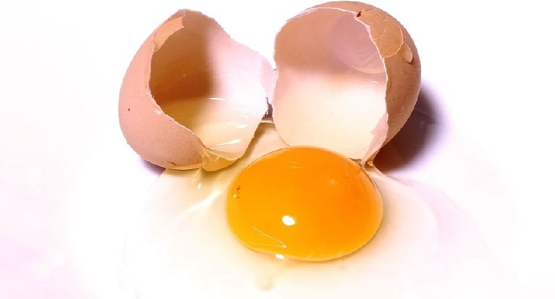 Harga Telur Ayam Ras 12 September 2021