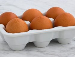 Harga Telur Ayam Ras Hari Ini Senin 13 September 2021: Harga Kembali Stabil
