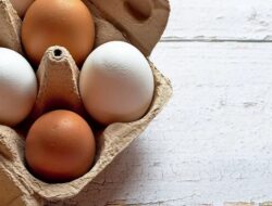 Harga Telur Ayam Ras Hari Ini Selasa 14 September 2021: Harga di Kalimantan Selatan Turun Hingga Rp 1.000 per Kilogram