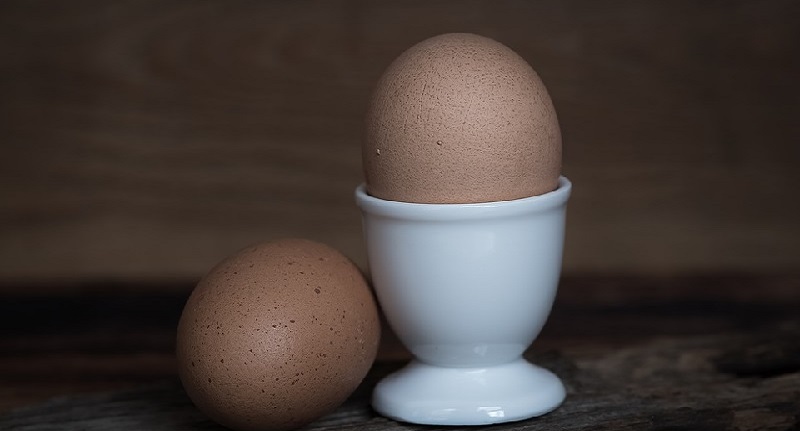 Harga Telur Ayam Ras 19 September 2021