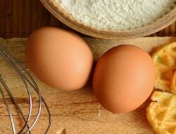 Harga Telur Ayam Ras Hari Ini Rabu 22 September 2021: Di Blitar Harga Turun Rp 200 per Kilogram
