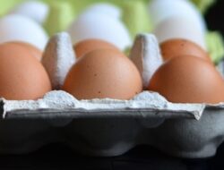 Harga Telur Ayam Ras Hari Ini Sabtu 25 September 2021: Di Jawa Timur Harga Turun Rp 500 Per Kilogram