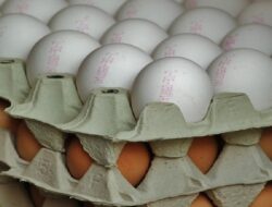 Harga Telur Ayam Ras Hari Ini Rabu 29 September 2021: Di Jawa Timur Harga Terus Meroket
