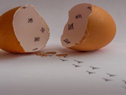 Harga Telur Ayam Ras Hari Ini Jumat 3 September 2021: Harga di Banjarmasin Masih Stabil Rp 19.000 per Kilogram