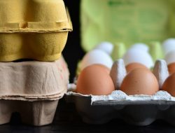 Harga Telur Ayam Ras Hari Ini Senin 6 September 2021: Harga Terpantau Masih Fluktuatif