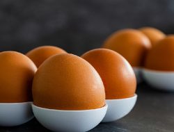 Harga Telur Ayam Ras Hari Ini Selasa 7 September 2021: Di Malang Harga Turun Hingga Rp 15.100 per Kilogram