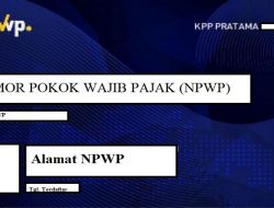 Pendaftaran NPWP Secara Online: Bisa Dimana dan Kapan Saja