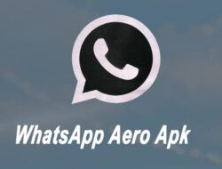 WhatsApp Aero Apk Versi Terbaru, Kirim WA Lebih Seru dengan Fitur Custom Tema