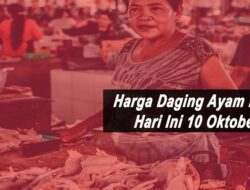 Harga Daging Ayam Broiler Hari Ini Minggu 10 Oktober 2021: Di Yogyakarta Turun Harga Rp 500 per Kilogram