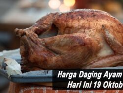 Harga Daging Ayam Broiler Hari Ini Selasa 19 Oktober 2021: Harga Terpantau Masih Stabil