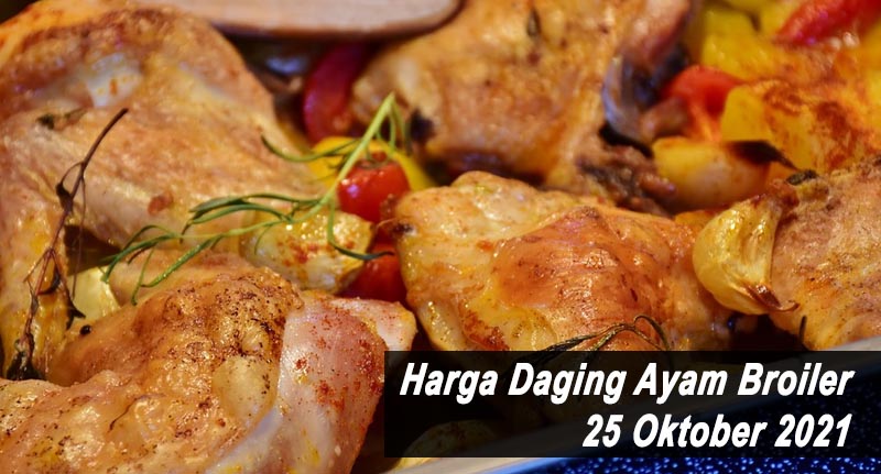 Harga Daging Ayam Broiler 25 Oktober 2021