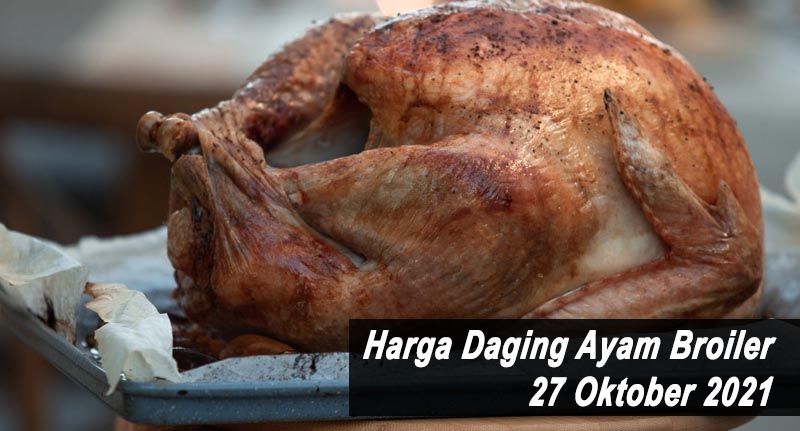 Harga Daging Ayam Broiler 27 Oktober 2021