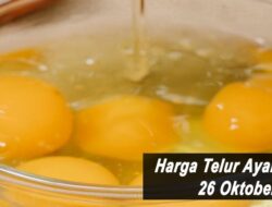 Harga Telur Ayam Ras Hari Ini Selasa 26 Oktober 2021: Harga di Kediri Naik Rp 500 per Kilogram