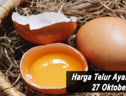 Harga Telur Ayam Ras Hari Ini Rabu 27 Oktober 2021: Harga di Surabaya Naik Hingga Rp 700 per Kilogram