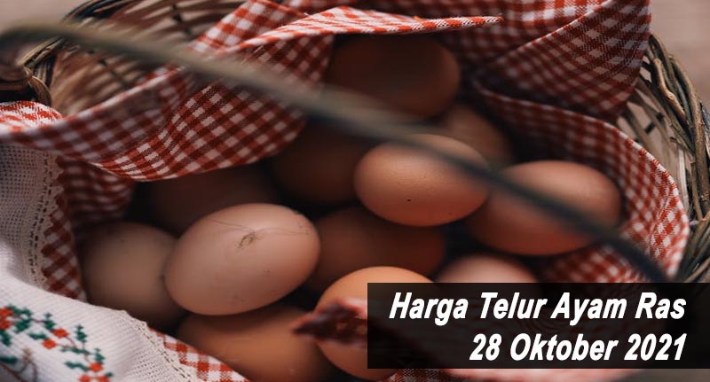 Harga Telur Ayam Ras 28 Oktober 2021