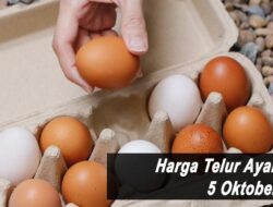 Harga Telur Ayam Ras Hari Ini Selasa 5 Oktober 2021: Di Yogyakarta Harga Turun Rp 500 per Kilogram