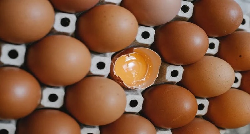 Harga Telur Ayam Ras 8 Oktober 2021