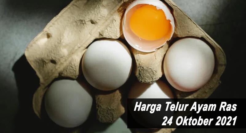 Hargaa Telur Ayam Ras 24 Oktober 2021