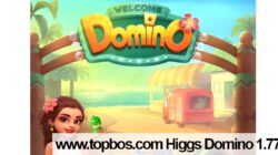 Download www topbos com Higgs Domino MOD APK