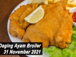 Harga Daging Ayam Broiler Hari Ini Senin 1 November 2021: Harga di Jatim Kembali Stabil