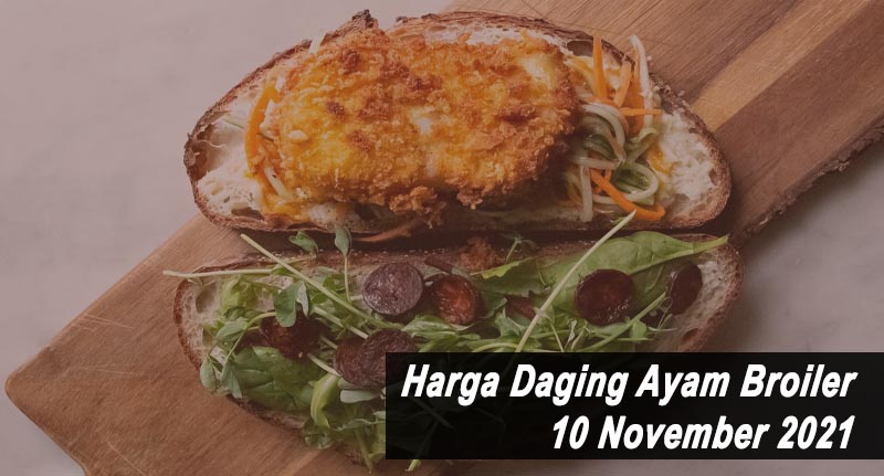 Harga Daging Ayam Broiler 10 November 2021