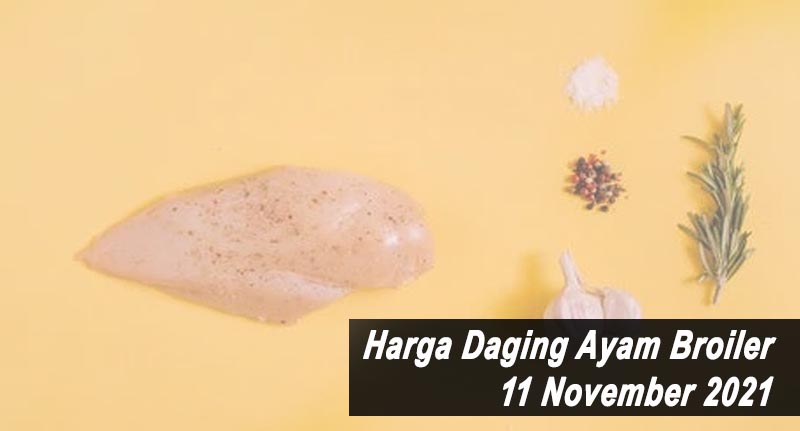 Harga Daging Ayam Broiler 11 November 2021