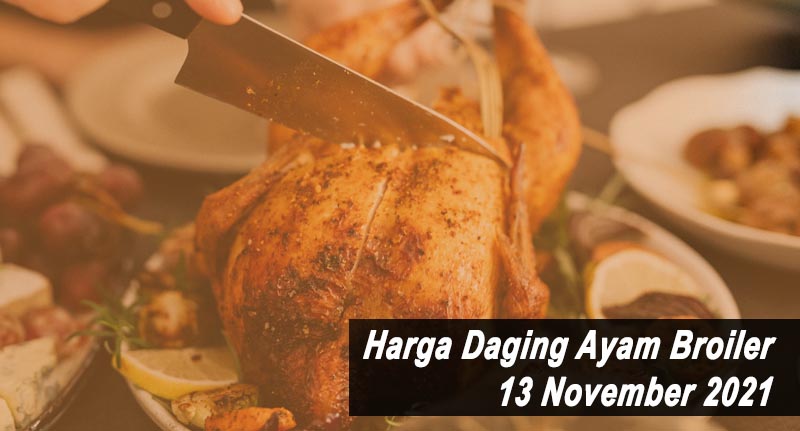 Harga Daging Ayam Broiler 13 November 2021