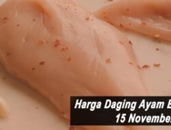 Harga Daging Ayam Broiler Hari Ini Senin 15 November 2021: Harga di Yogya Masih Stabil Rp 18.500 per Kilogram