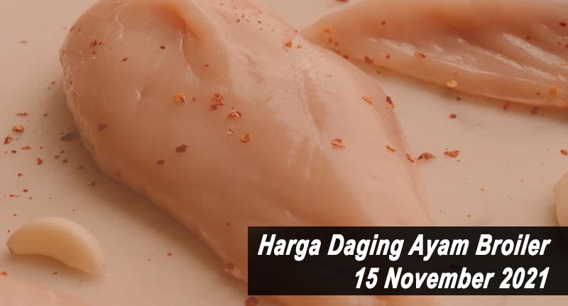 Harga Daging Ayam Broiler 15 November 2021