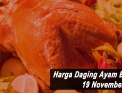 Harga Daging Ayam Broiler Hari Ini Jumat 19 November 2021: Harga di KalTeng Turun Rp 500 per Kilogram