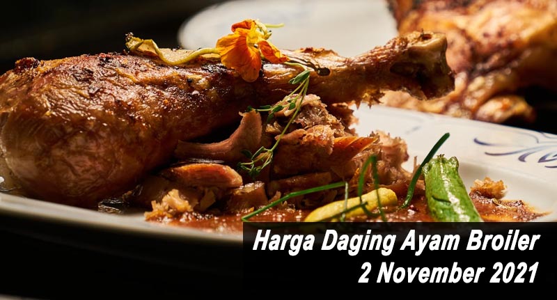 Harga Daging Ayam Broiler 2 November 2021