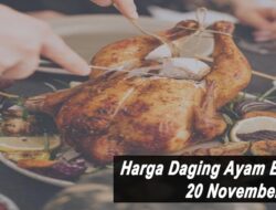 Harga Daging Ayam Broiler Hari Ini Sabtu 20 November 2021: Harga di Yogyakarta Masih Stabil Rp 18.500 per Kilogram