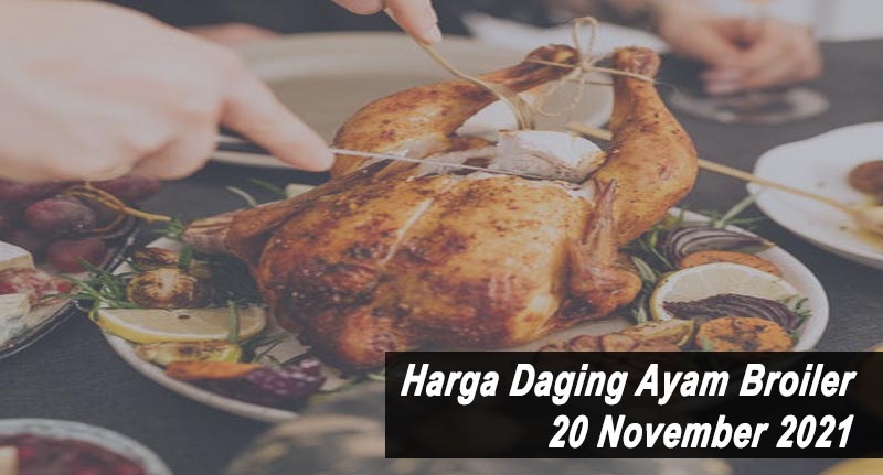 Harga Daging Ayam Broiler 20 November 2021