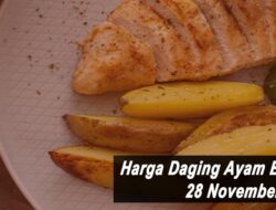 Harga Daging Ayam Broiler Hari Ini Minggu 28 November 2021: Harga di Bengkulu Stabil di Rp 22.500 per Kilogram