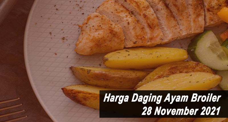 Harga Daging Ayam Broiler 28 November 2021