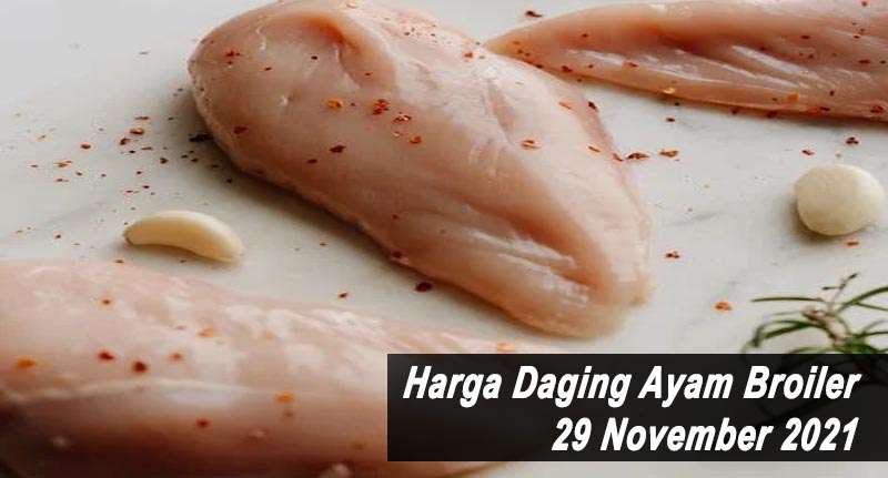 Harga Daging Ayam Broiler 29 November 2021