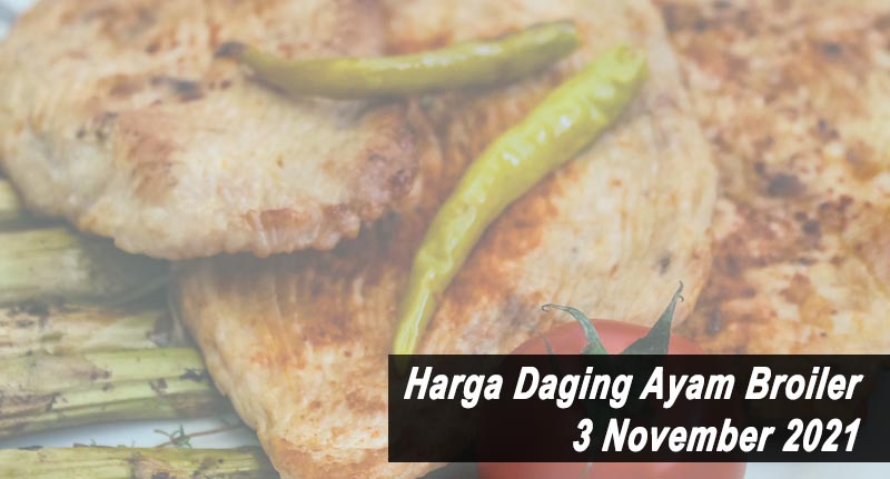 Harga Daging Ayam Broiler 3 November 2021