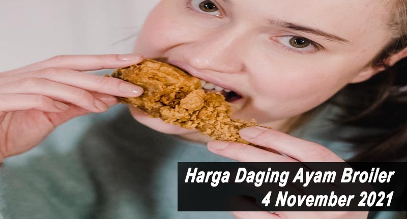 Harga Daging Ayam Broiler 4 November 2021