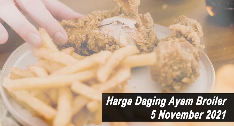 Harga Daging Ayam Broiler 5 November 2021
