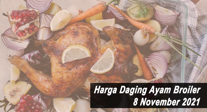 Harga Daging Ayam Broiler 8 November 2021